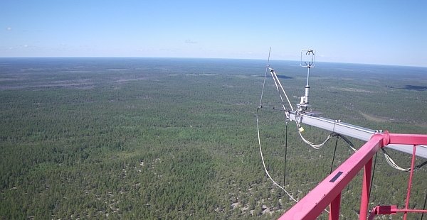 Blick vom Turm auf die sibirische Taiga (Foto: Karl Kübler, Juni 2015)